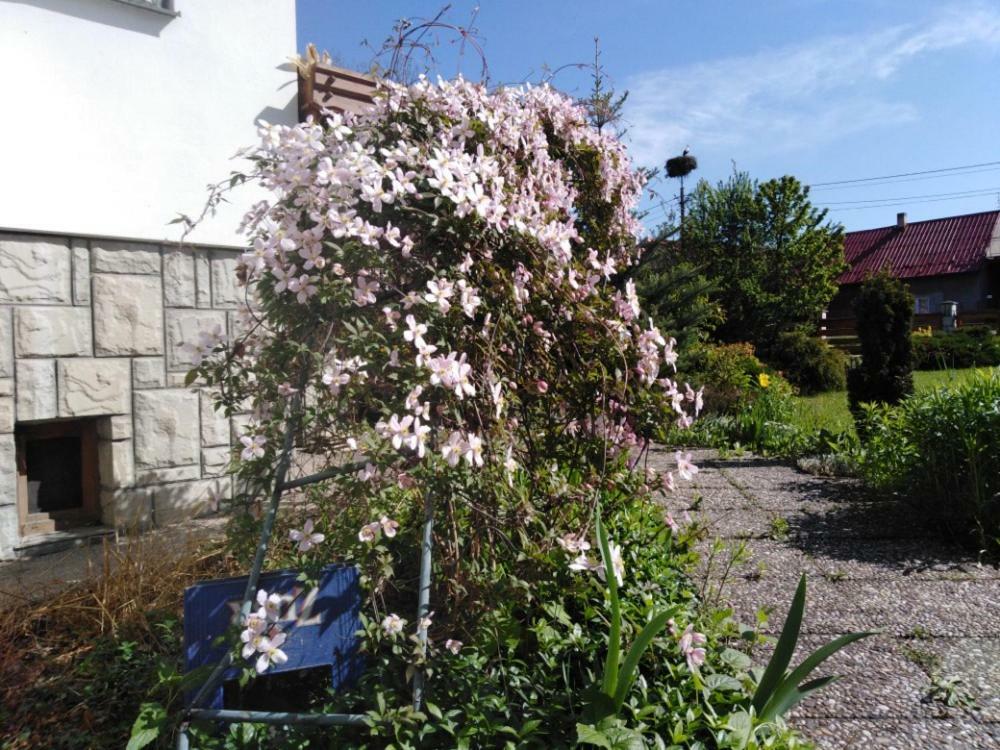 Apartamento Privát U čápů v Beskydech Przno Exterior foto